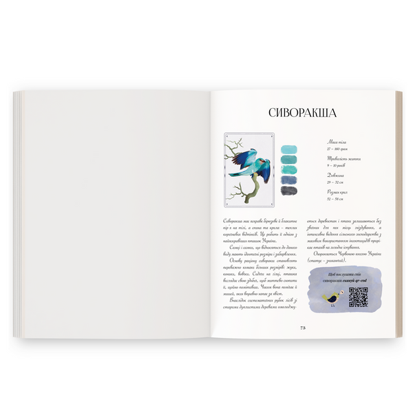 ПТАХИ. Книга - розмальовка КН-2-009 фото